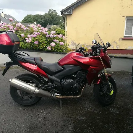 ベッド・アンド・ブレックファスト Assaroe House バリシャノン